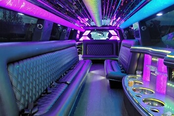 Milpitas Limo Interior